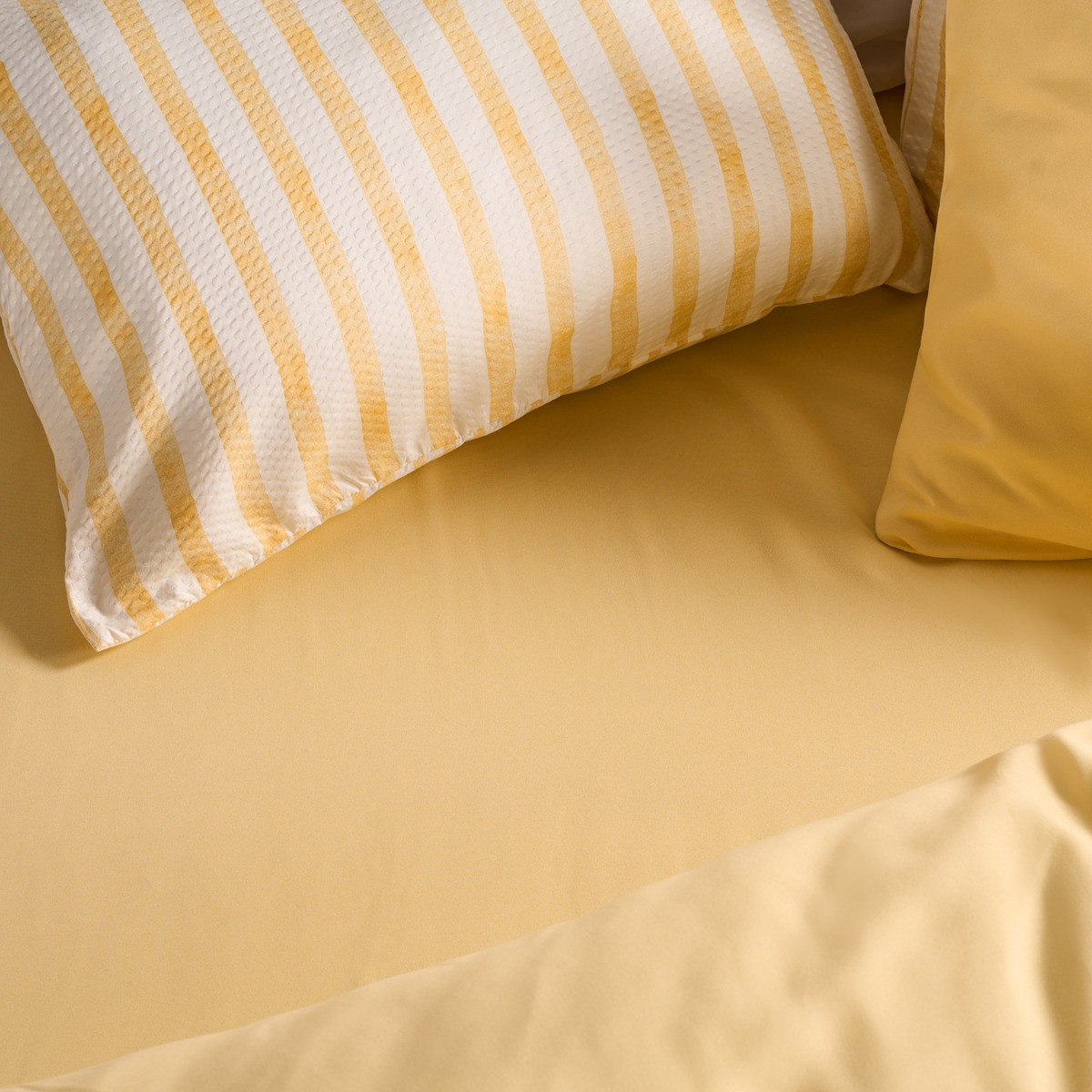 OHS Plain Dyed Fitted Sheet, Lemon - King>