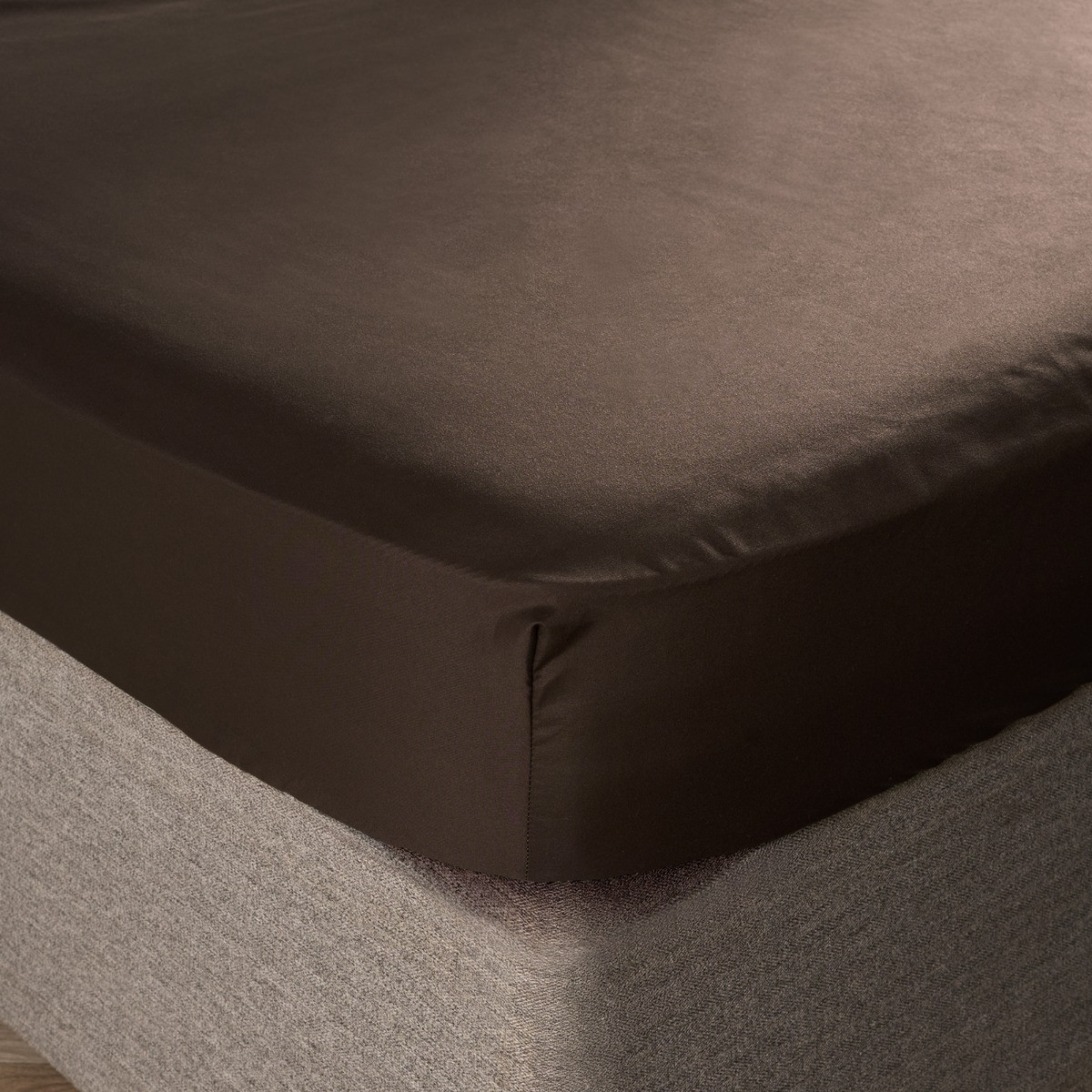 OHS Plain Dyed Fitted Sheet, Coffee - Double>