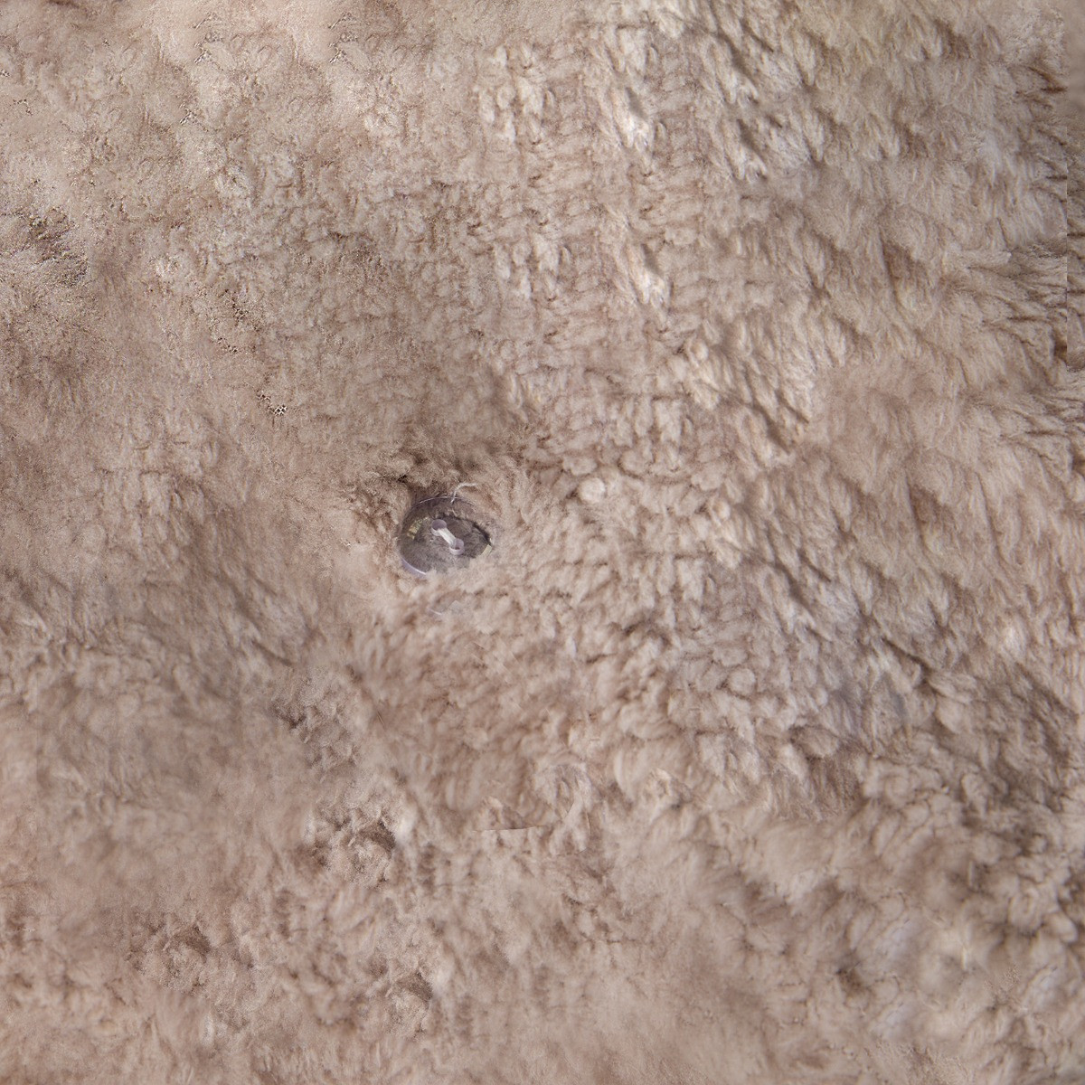 OHS Frill Teddy Duvet Cover Set - Natural>