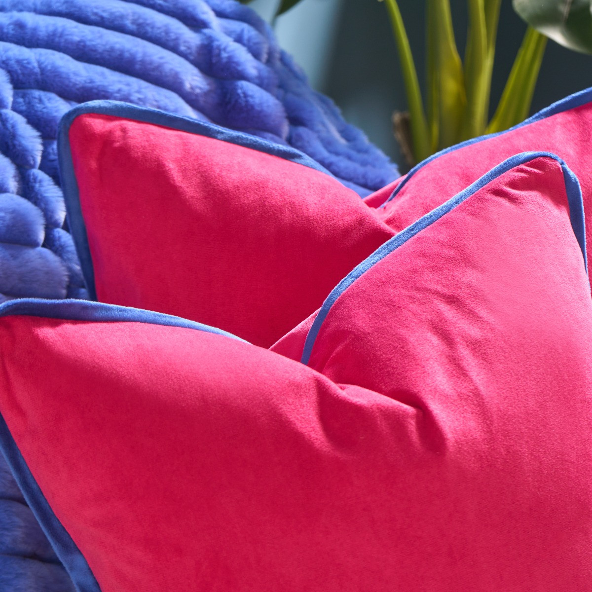 OHS Matte Velvet Piped Edge Cushion Covers - Hot Pink/Blue>