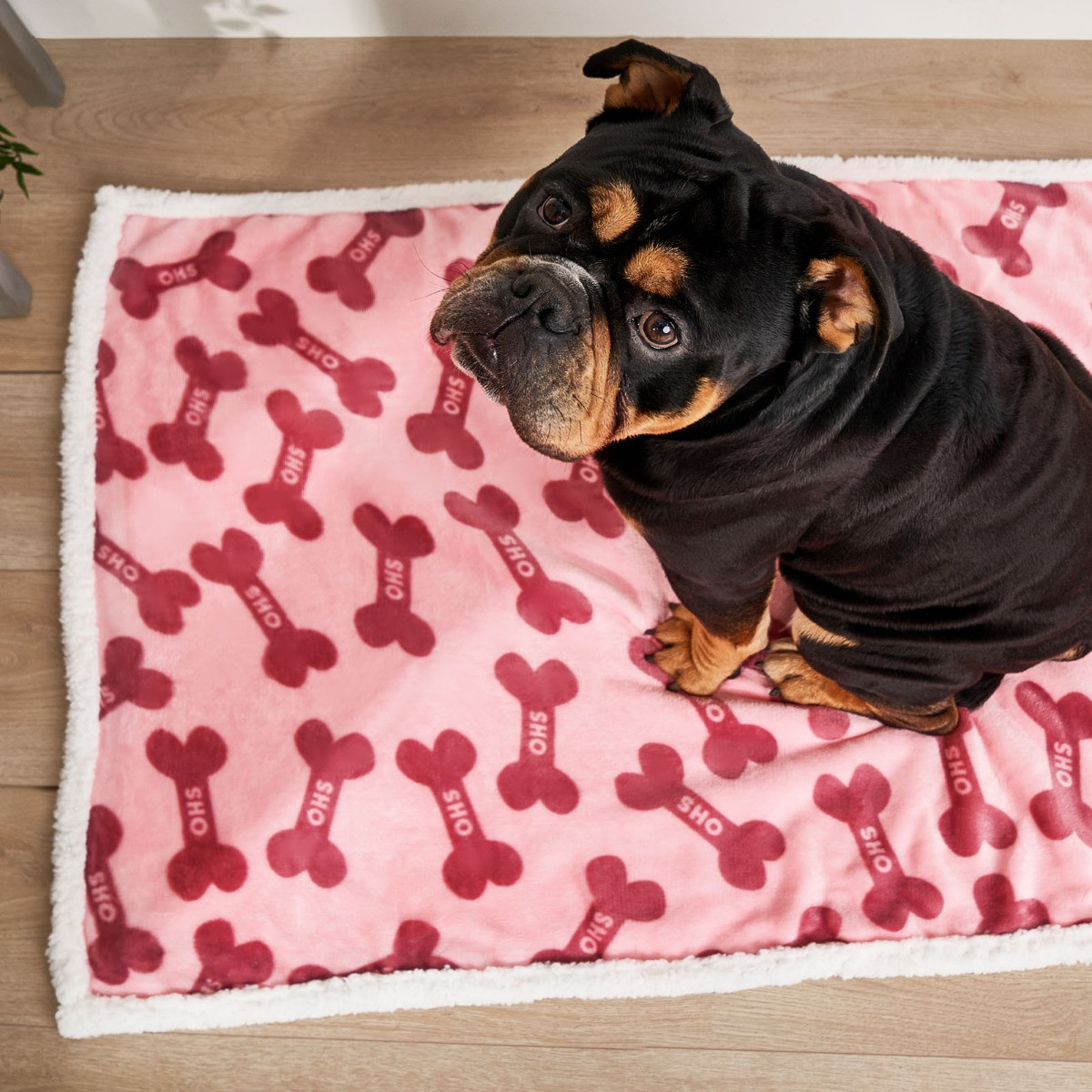 OHS Bone Print Sherpa Pet Blanket, Blush - 75 x 110cm>
