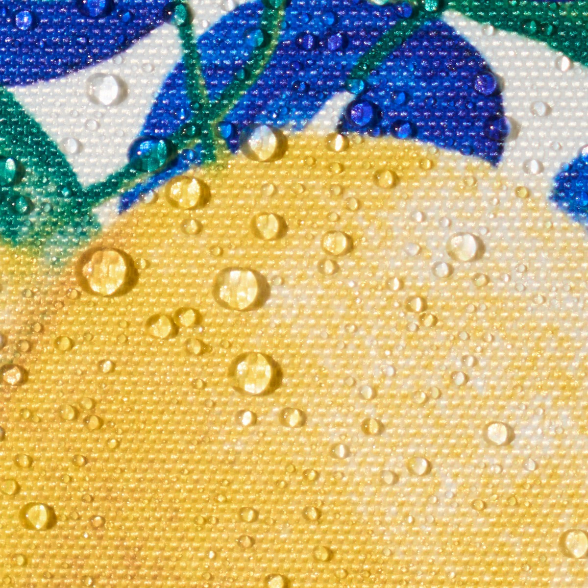 OHS 4 Pack Lemon Water Resistant Cushion Covers, Blue / White - With Cushion>