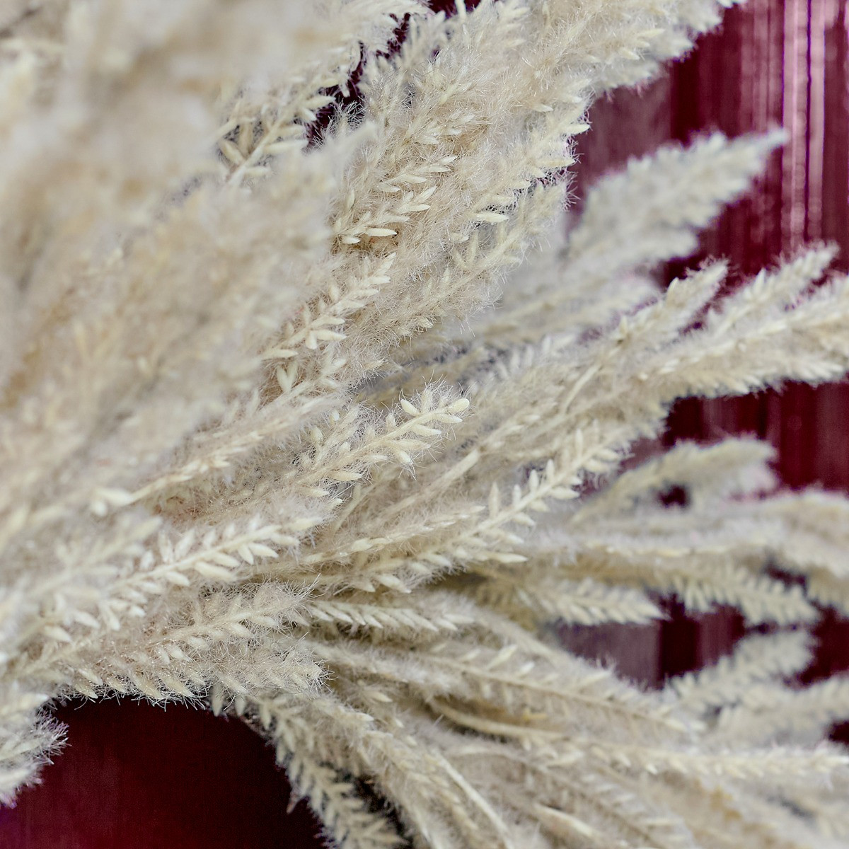 OHS Pampas Dried Grass Wreath, Cream - 55cm>