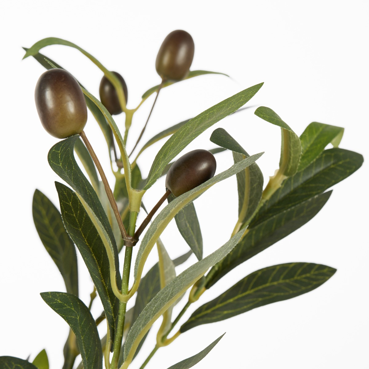 OHS Small Olive Tree in Basket - Green>