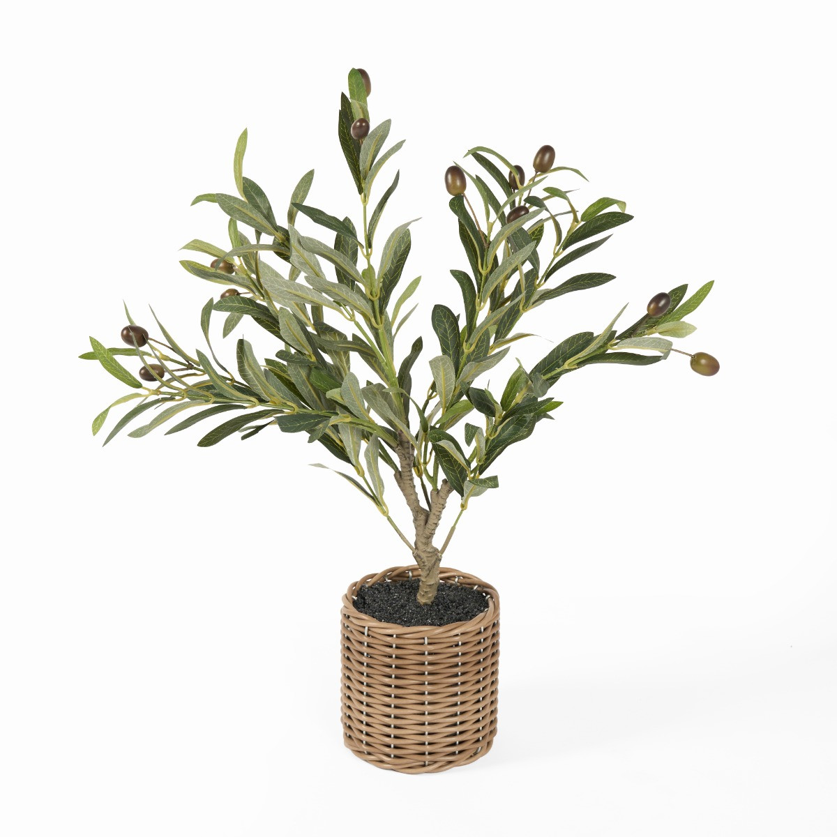OHS Small Olive Tree in Basket - Green>