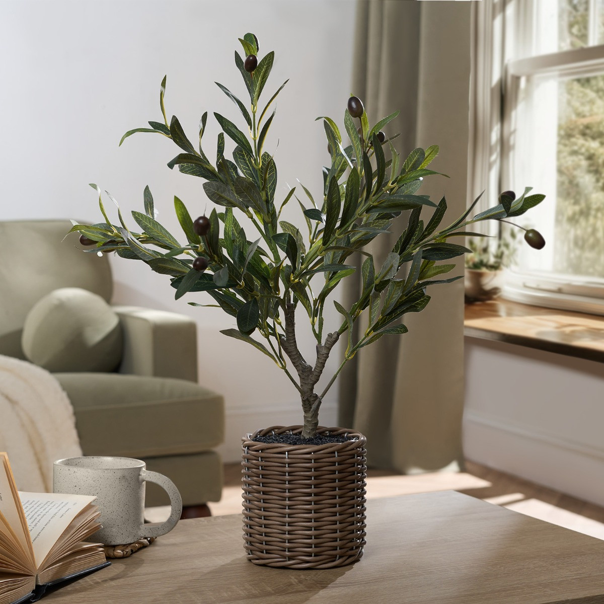 OHS Small Olive Tree in Basket - Green>