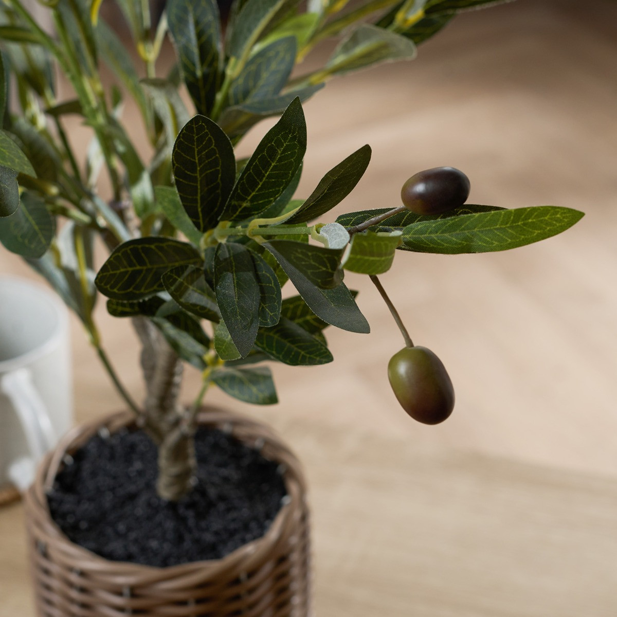 OHS Small Olive Tree in Basket - Green>