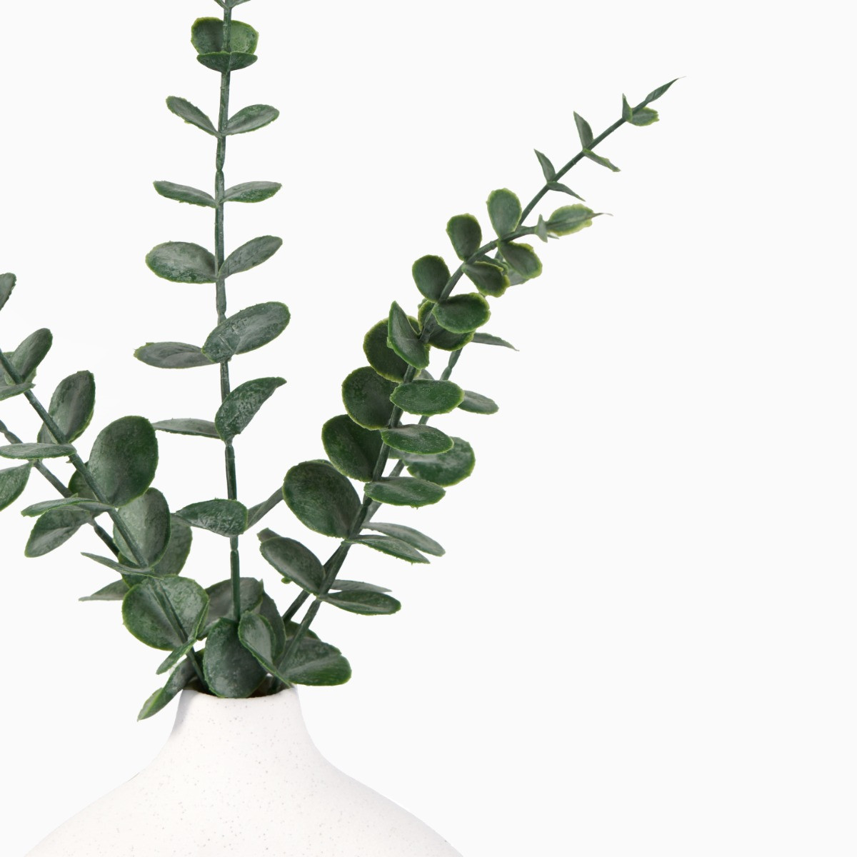 OHS Small Eucalyptus in Ceramic Vase - Natural>