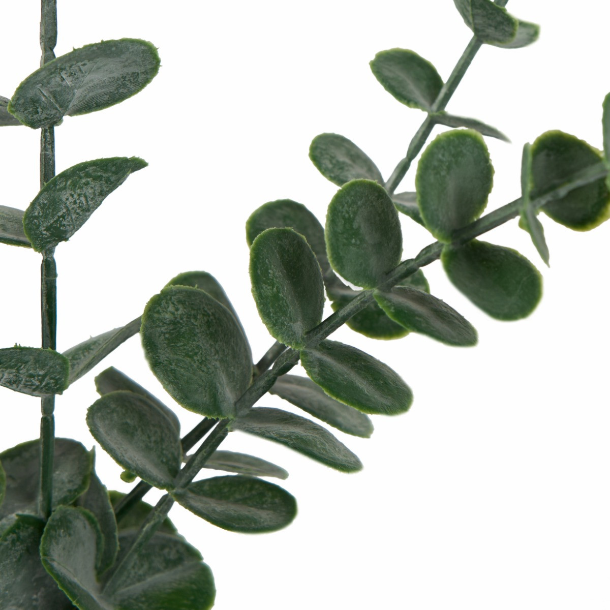 OHS Small Eucalyptus in Ceramic Vase - Natural>