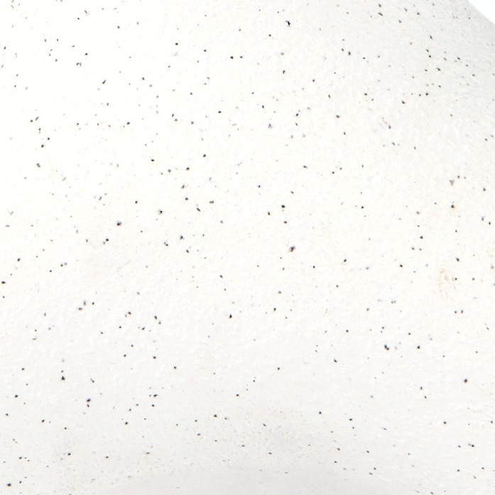 OHS Small Eucalyptus in Ceramic Vase - Natural>