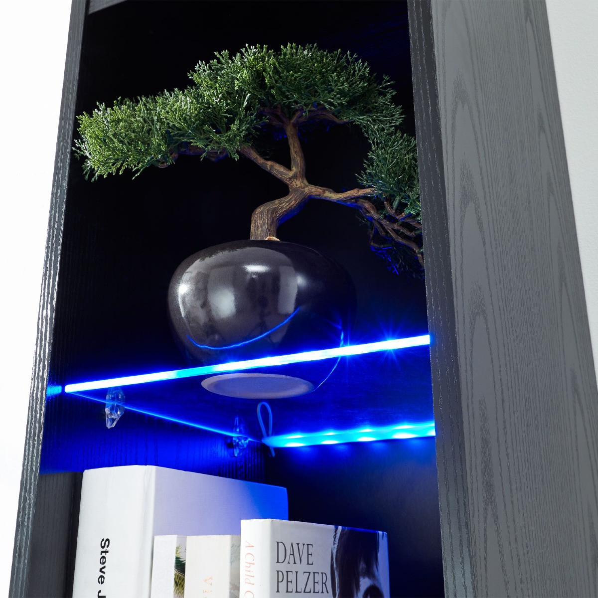 Galicia Wall Mounted Tall Shelf Unit With LED Lights - Black>