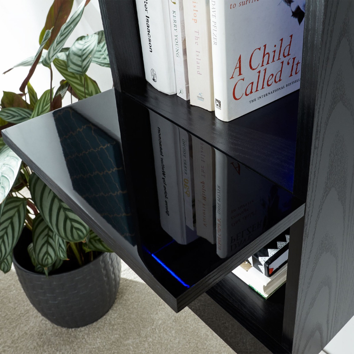 Galicia Wall Mounted Tall Shelf Unit With LED Lights - Black>