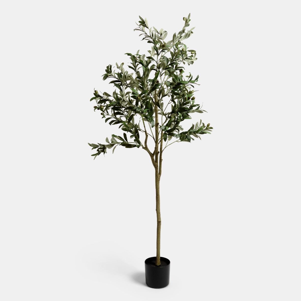 OHS Olive Tree in Pot - Black>