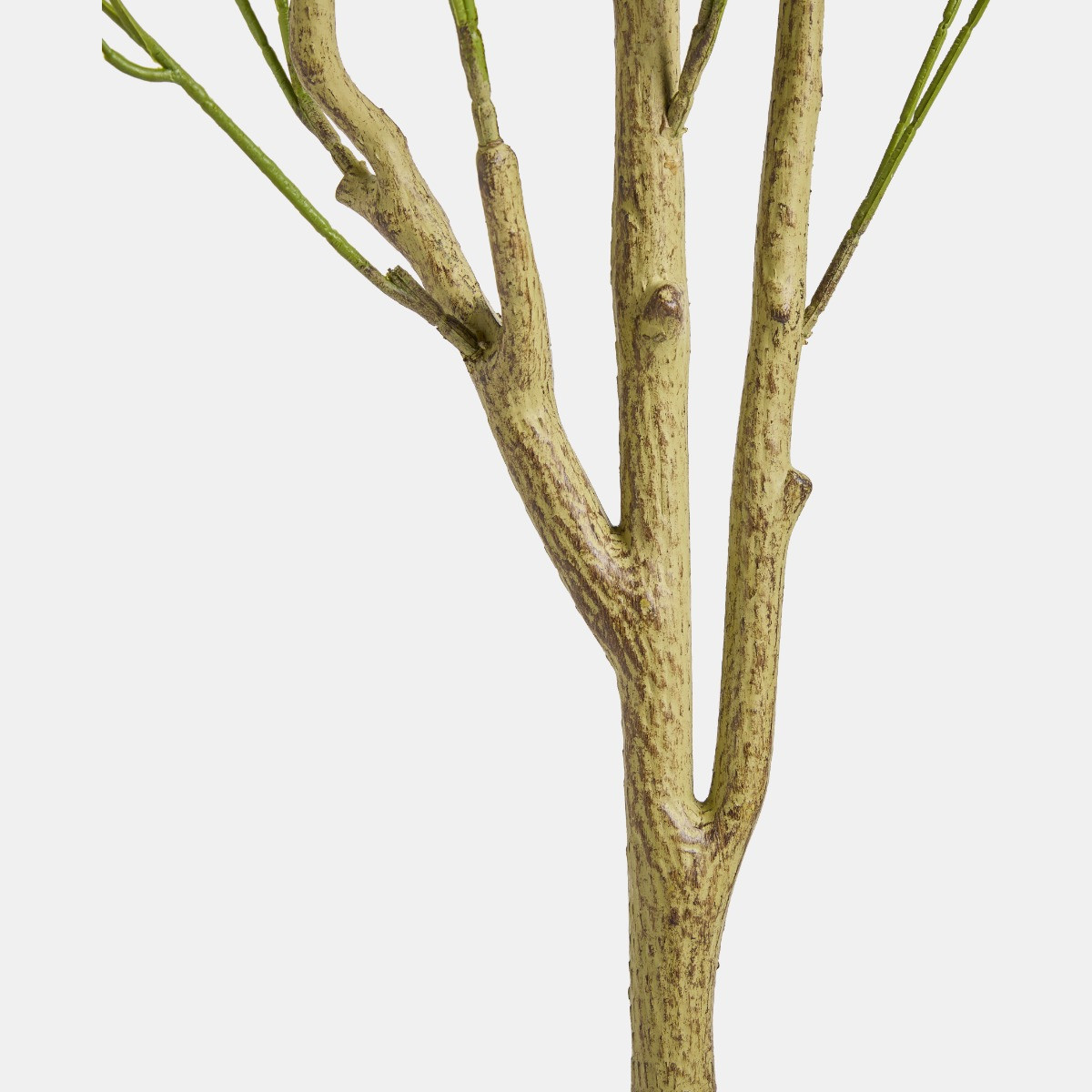 OHS Olive Tree in Pot - Black>