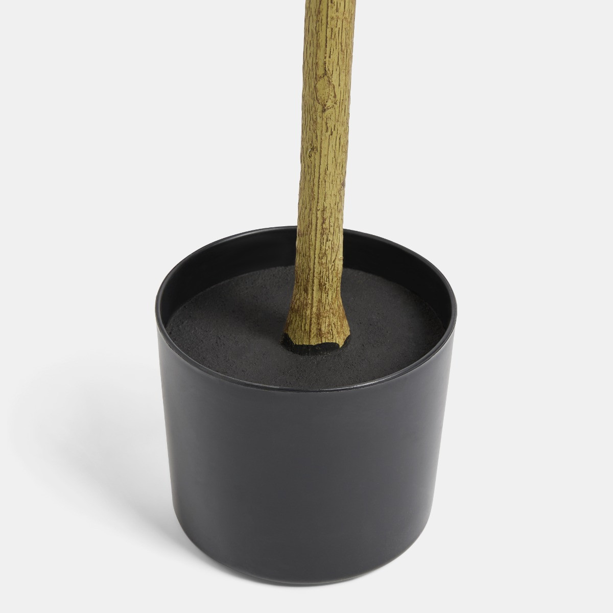 OHS Olive Tree in Pot - Black>