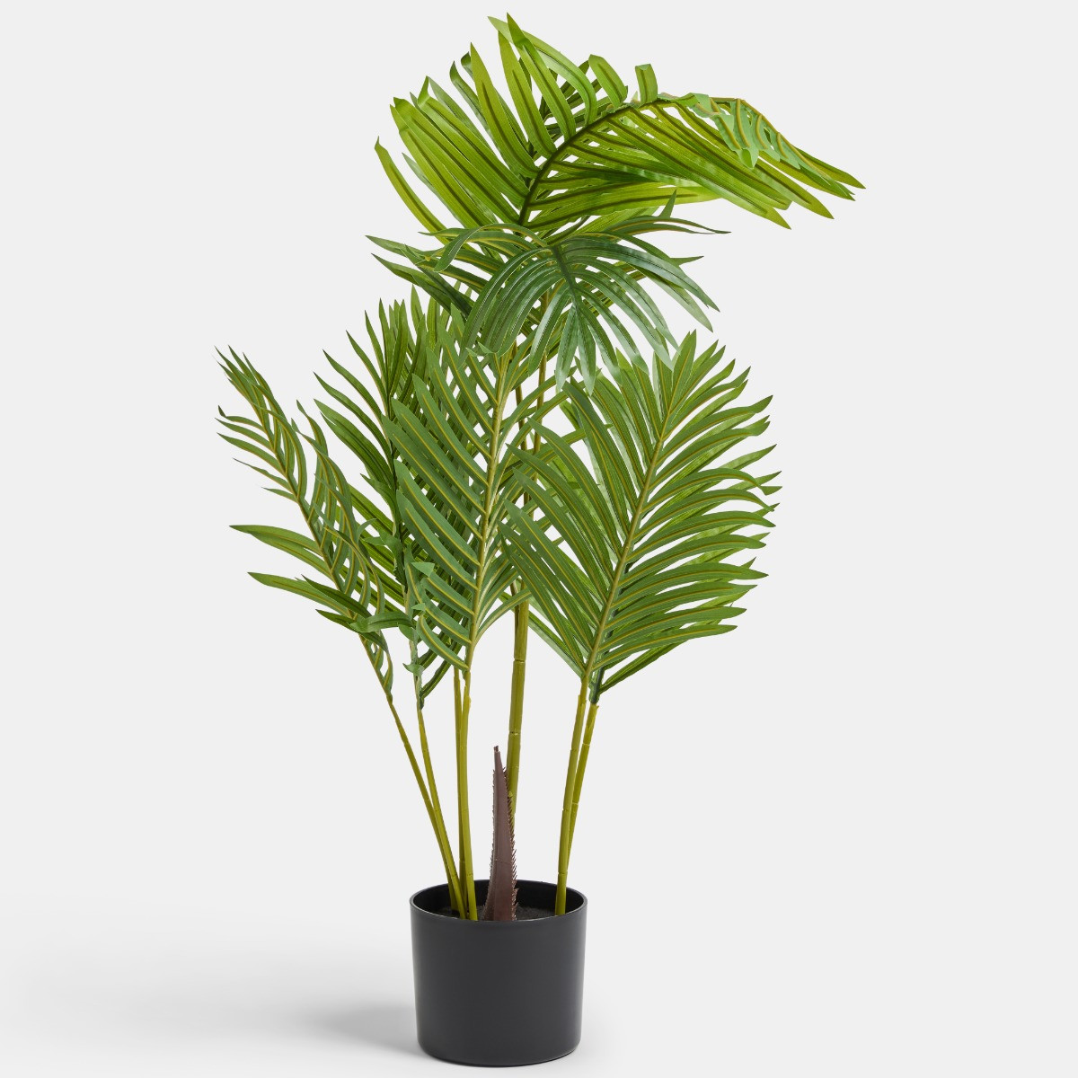OHS Palm Leaf Tree in Black Pot - One Size>