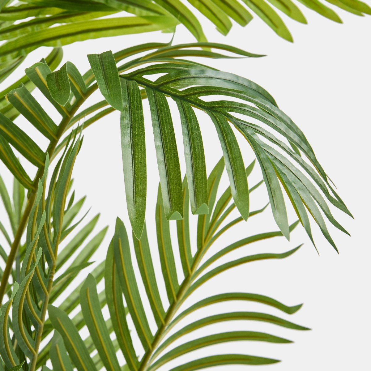 OHS Palm Leaf Tree in Black Pot - One Size>