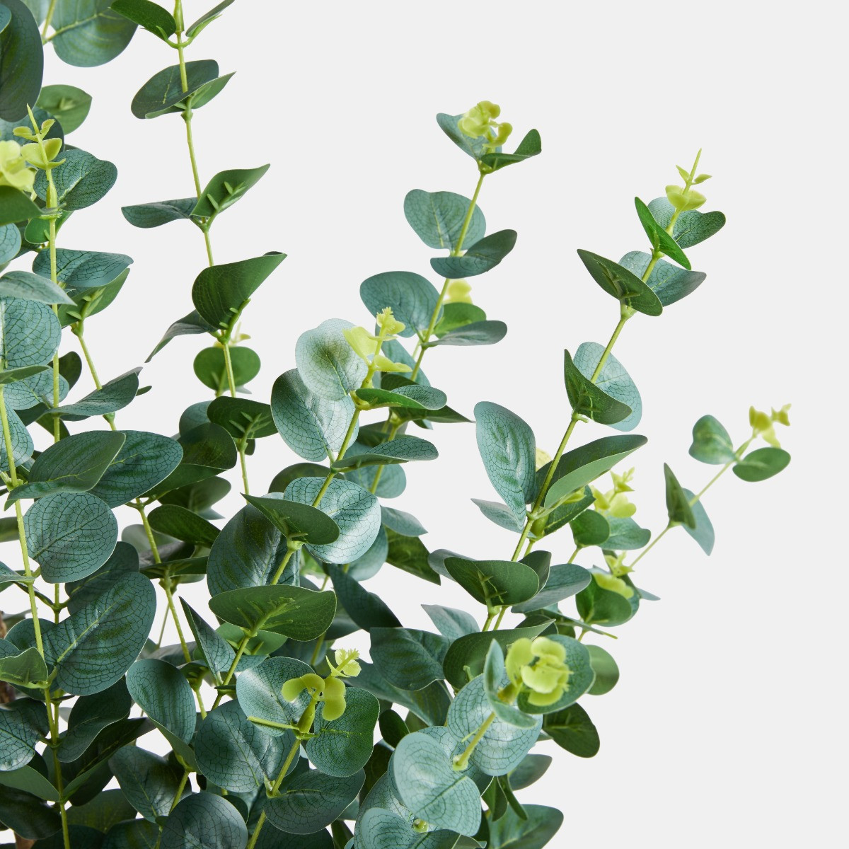 OHS Eucalyptus Leaf Tree in Pot, Black - 1.5m>