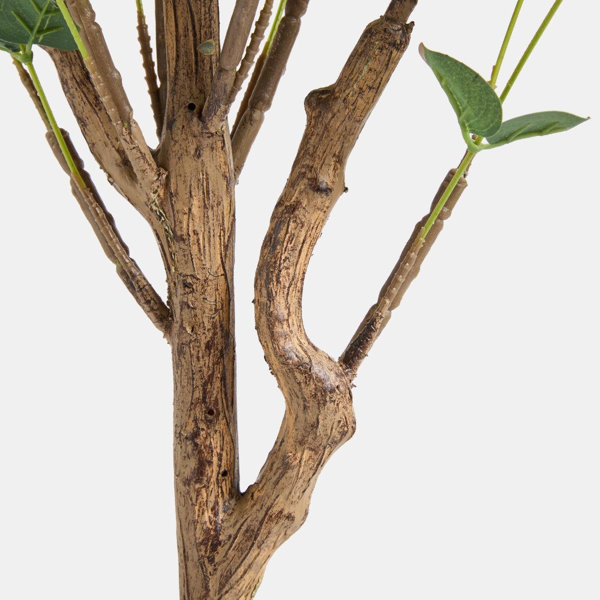 OHS Eucalyptus Leaf Tree in Pot, Black - 1.5m>