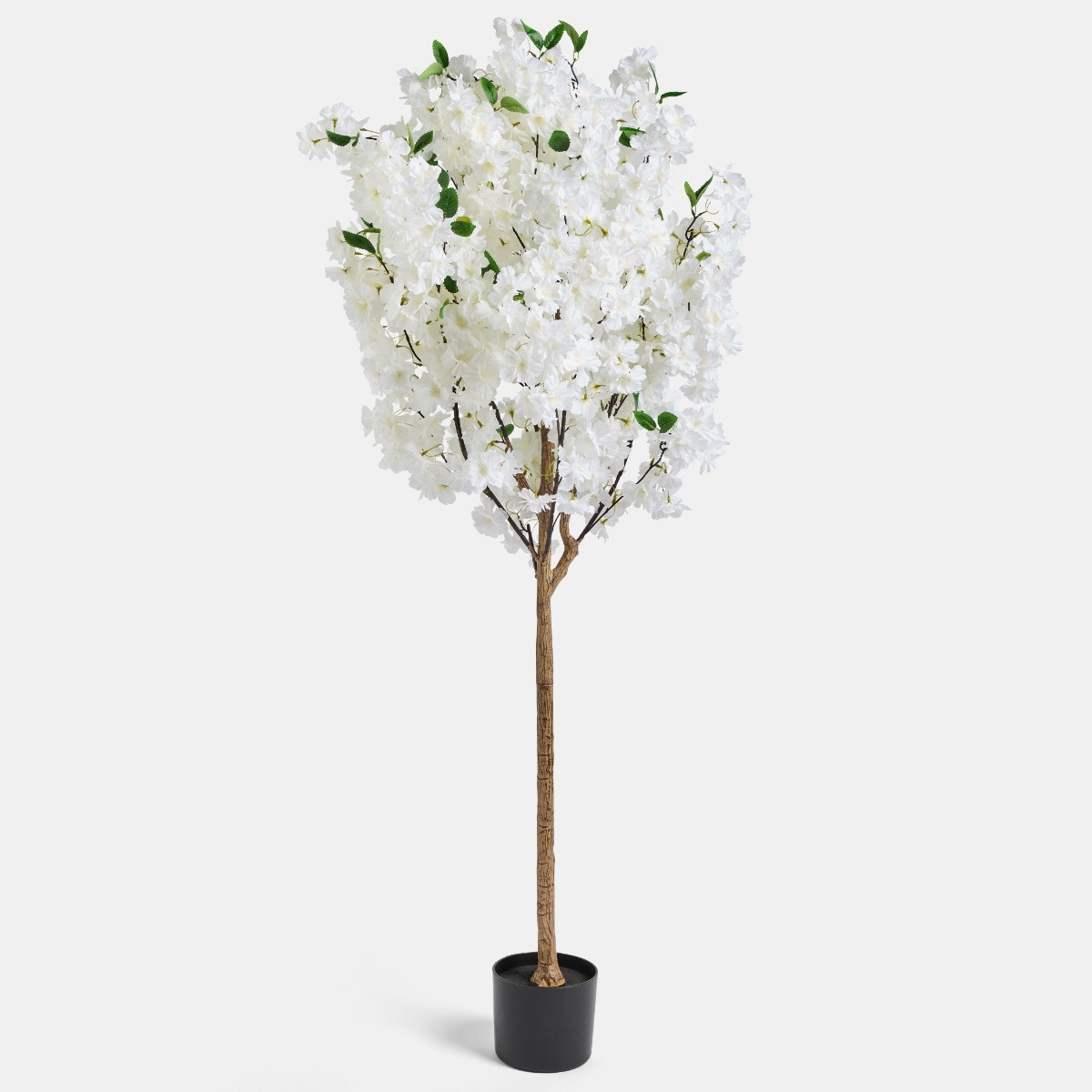 OHS Cherry Blossom Tree in Black Pot, White - 1.5m>