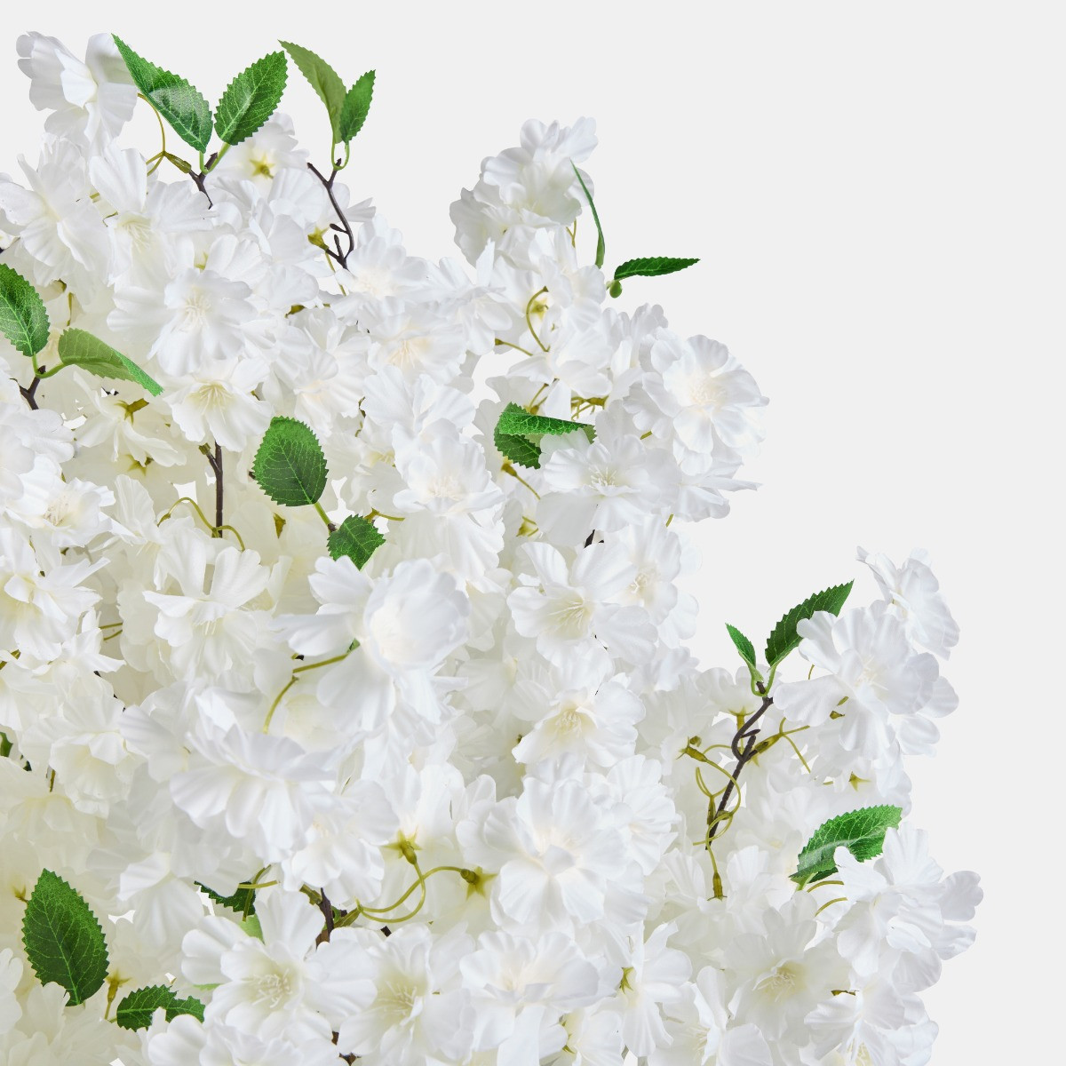 OHS Cherry Blossom Tree in Black Pot, White - 1.5m>