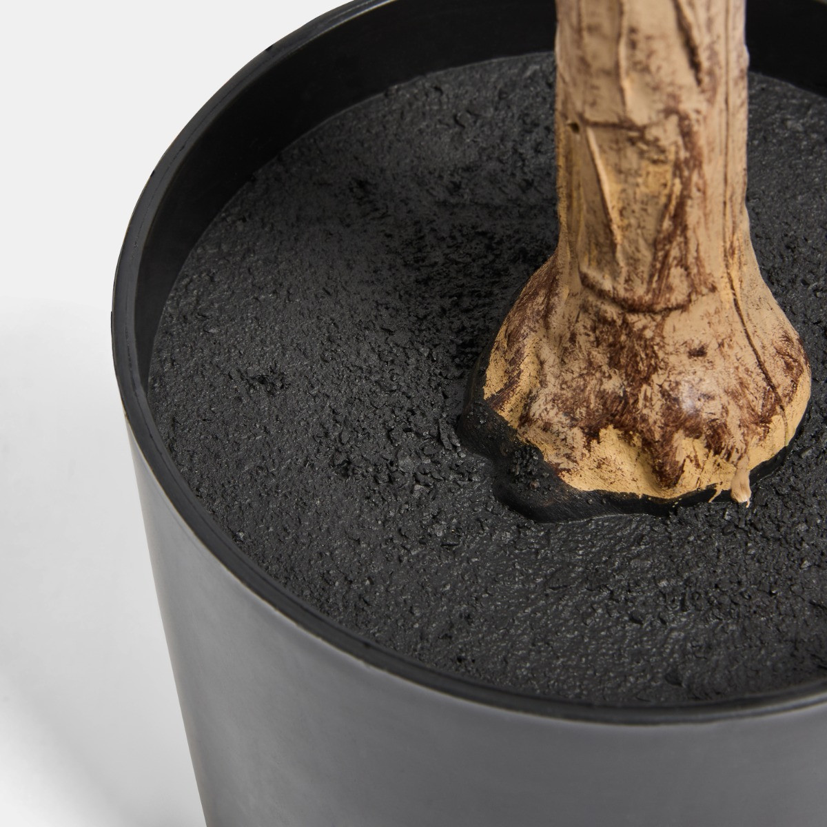 OHS Cherry Blossom Tree in Black Pot, White - 1.5m>