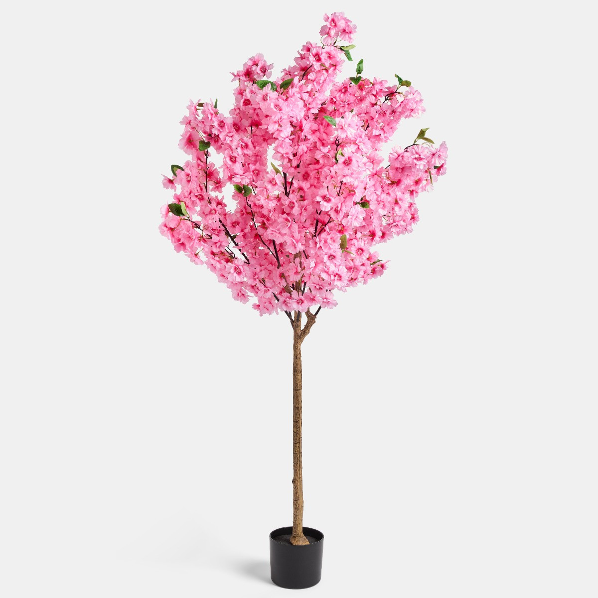 OHS Cherry Blossom Tree in Black Pot, Pink - 1.5m>
