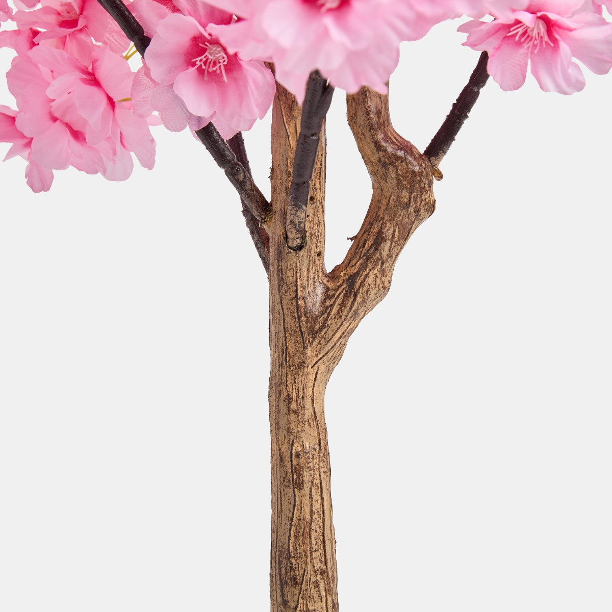 OHS Cherry Blossom Tree in Black Pot, Pink - 1.5m>