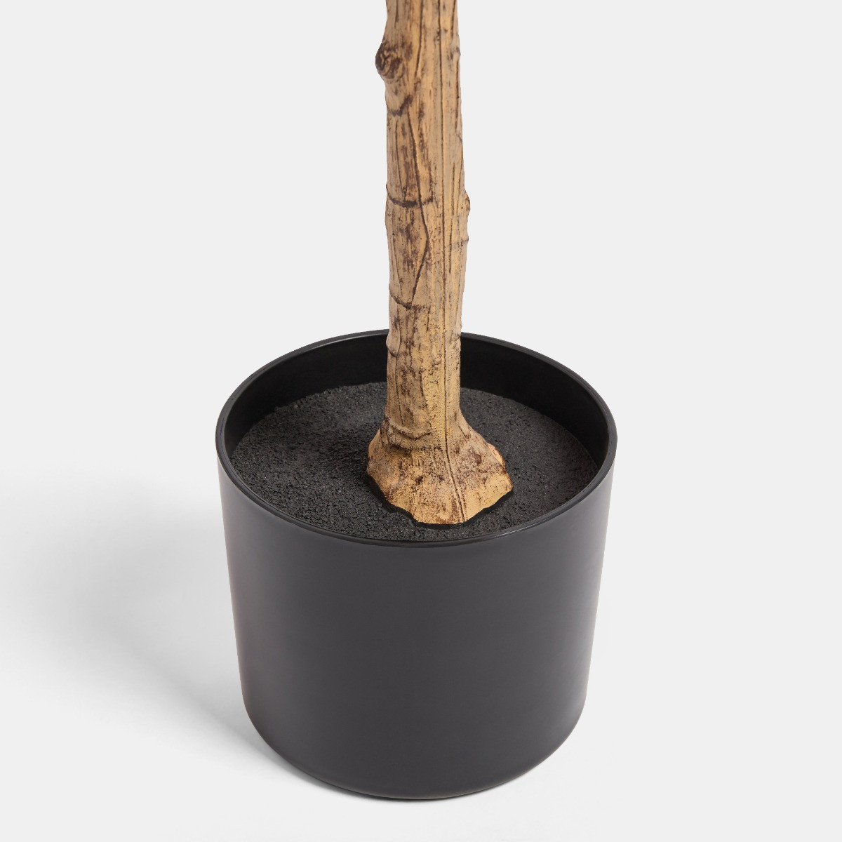 OHS Cherry Blossom Tree in Black Pot, Pink - 1.5m>