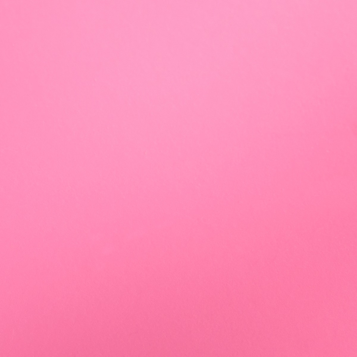 OHS Bow Shelves, Hot Pink - 2 Pack>