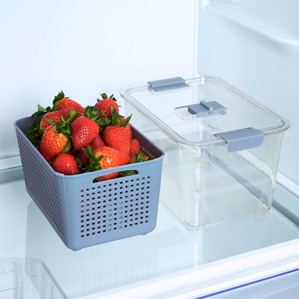 OHS Fridge Container With Removable Basket,  Medium - Grey/Clear>