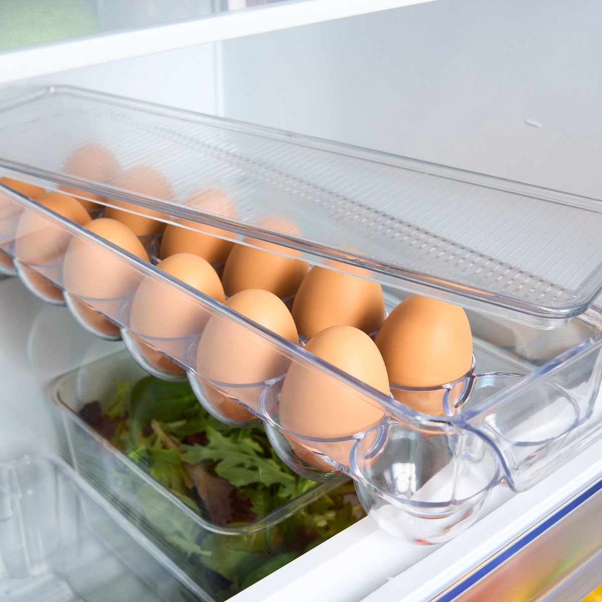 OHS Plastic Egg Storage With Lid - Clear >