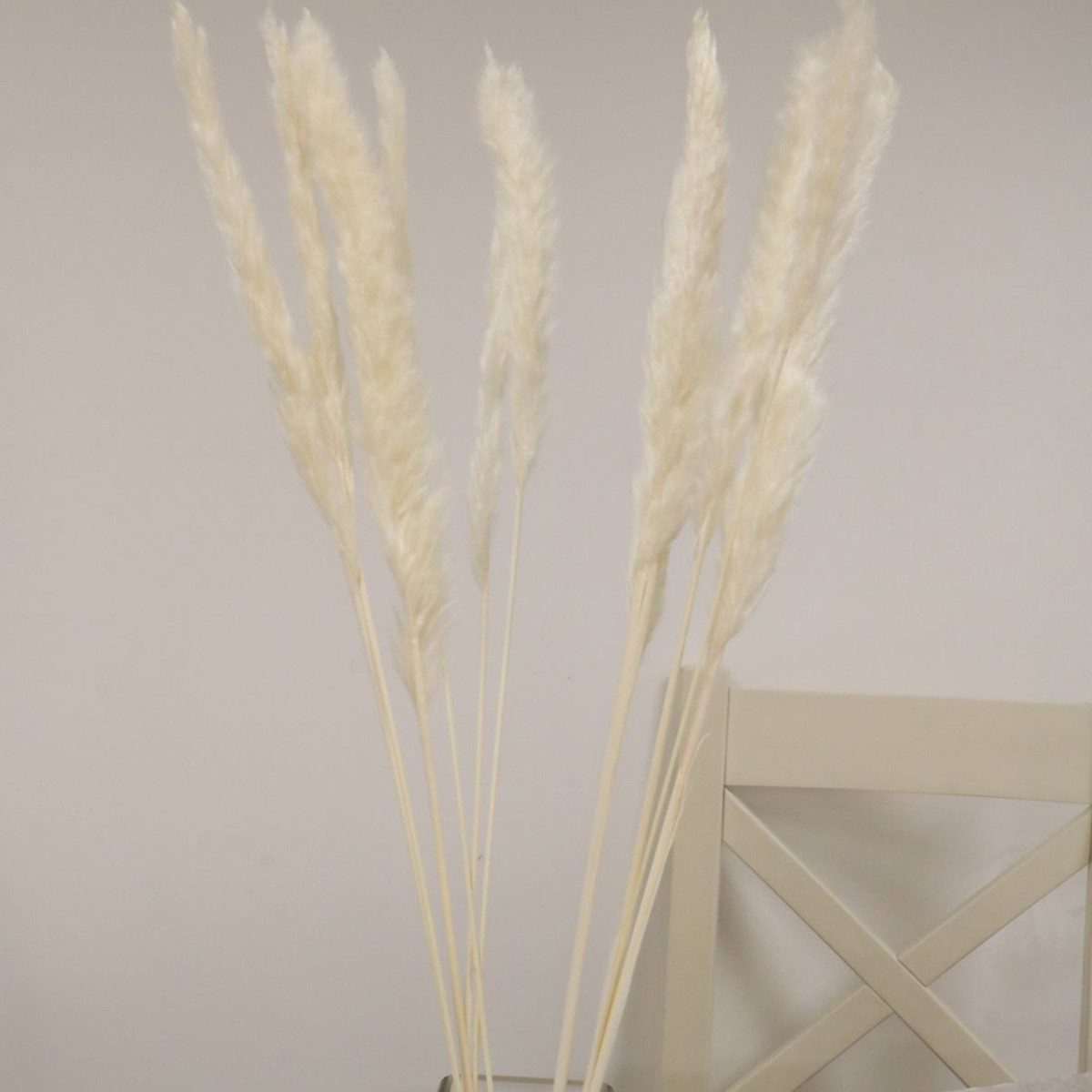 Reed Pampas Bunch, Cream - 10 Stems>