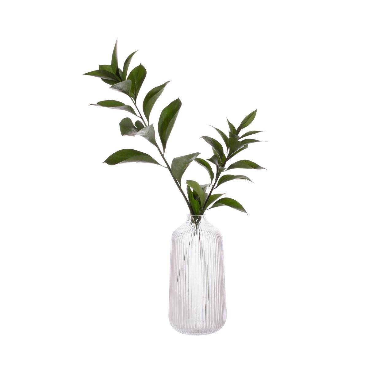 Sass & Belle Fluted Glass Vase, Clear - Tall>