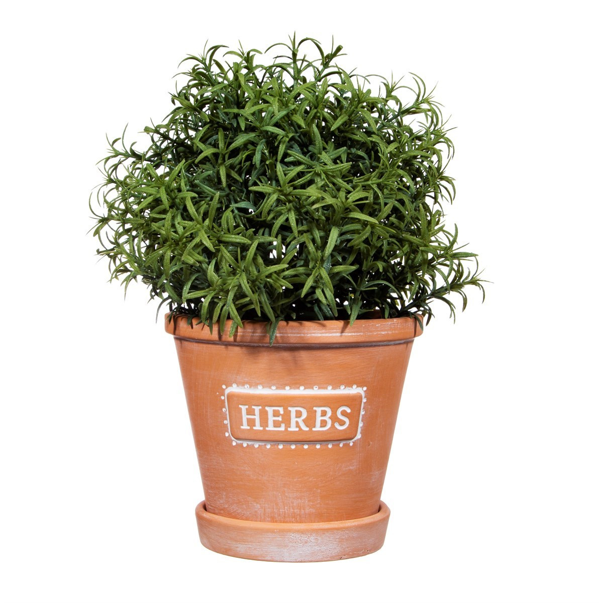 Sass & Belle Herbs Terracotta Planters with Saucer>