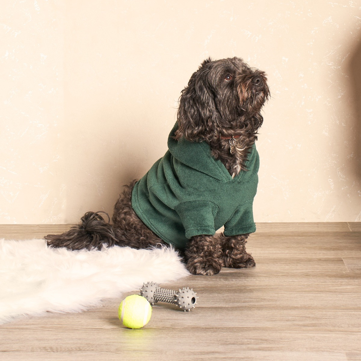 OHS Small Dog Hoodie Blanket - Forest Green>