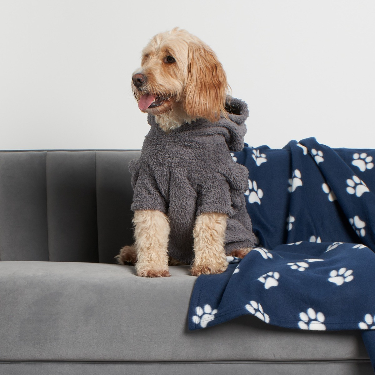 OHS Teddy Dog Hoodie - Charcoal>