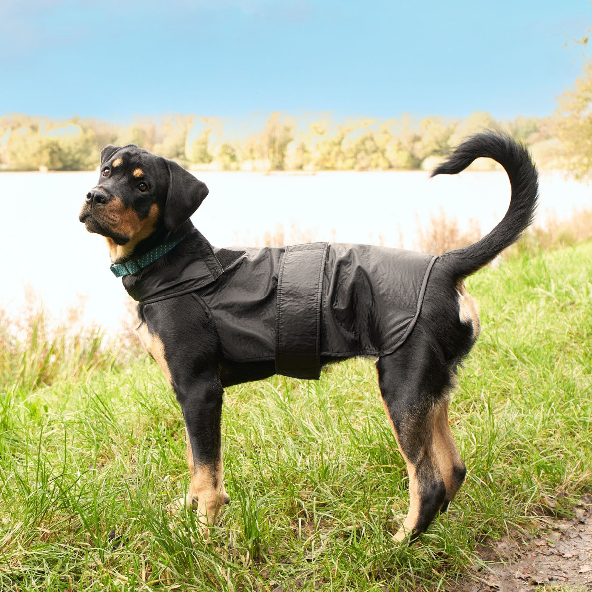 OHS Dog Water Resistant Jacket - Black