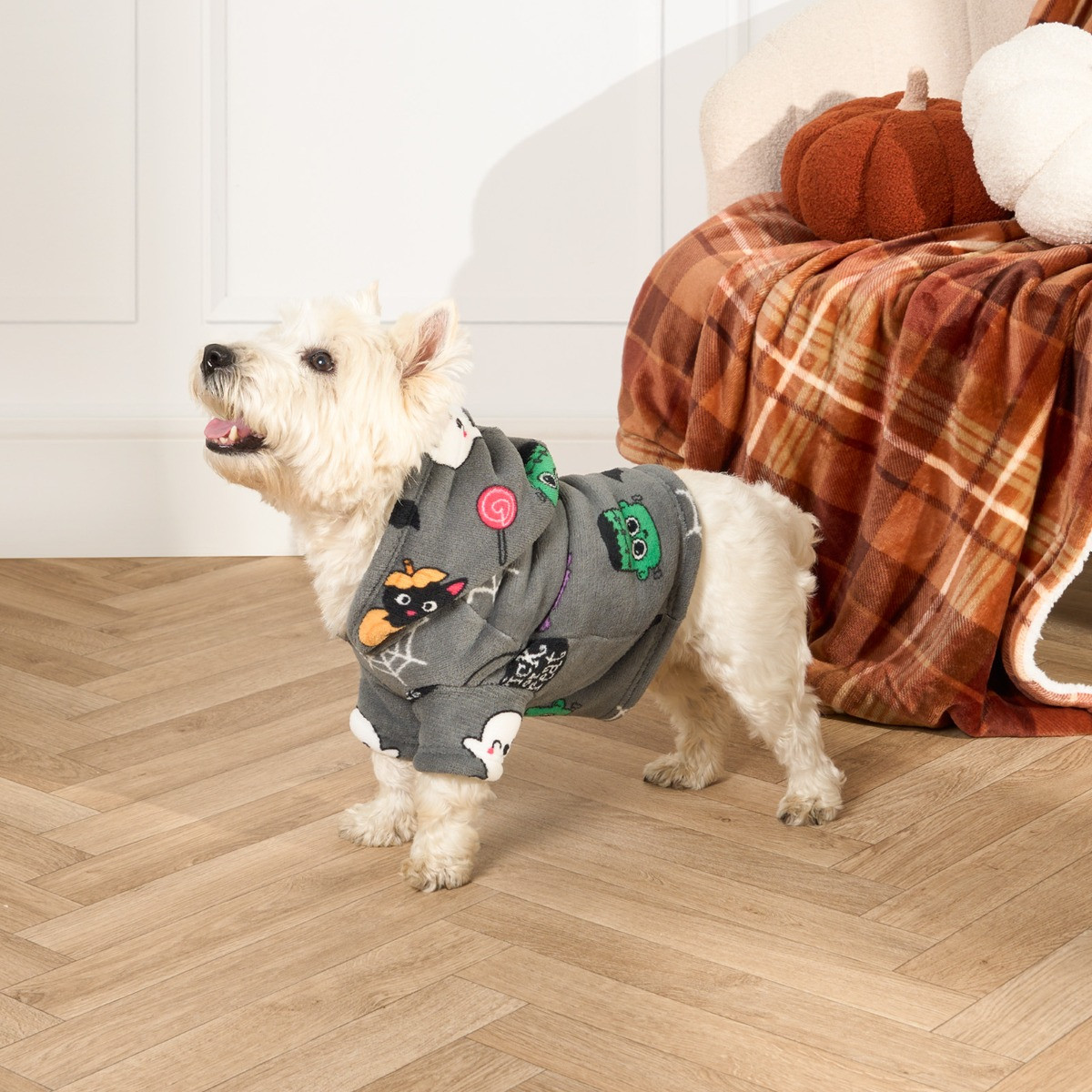 OHS Halloween Print Dog Hoodie - Charcoal >