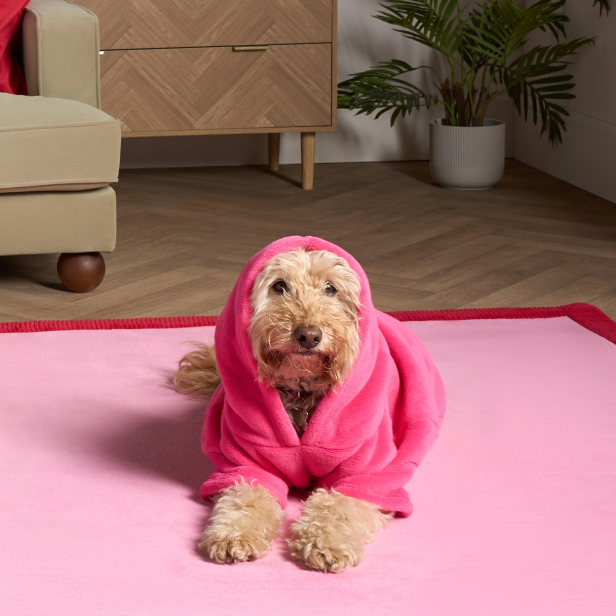 OHS Dog Hoodie Blanket, Hot Pink - Medium>