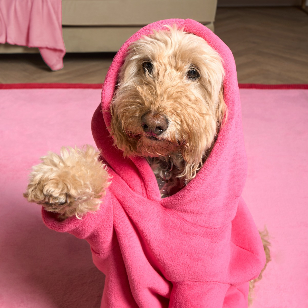 OHS Dog Hoodie Blanket, Hot Pink - Medium>