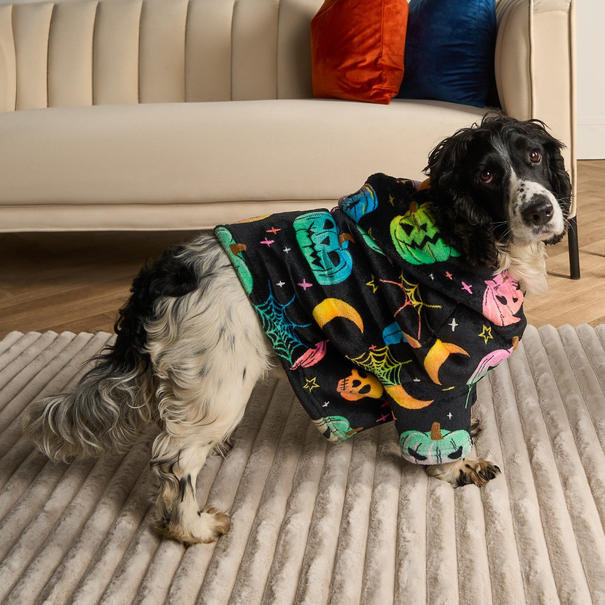 OHS Neon Halloween Print Dog Hoodie Blanket, Black Small