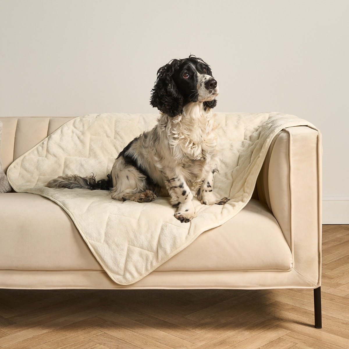 OHS Thermal Pet Blanket - Cream>