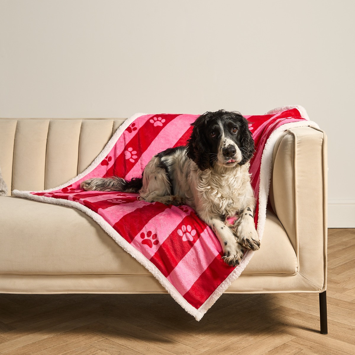 OHS Candy Stripe Paw Print Sherpa Reverse Throw - Pink>