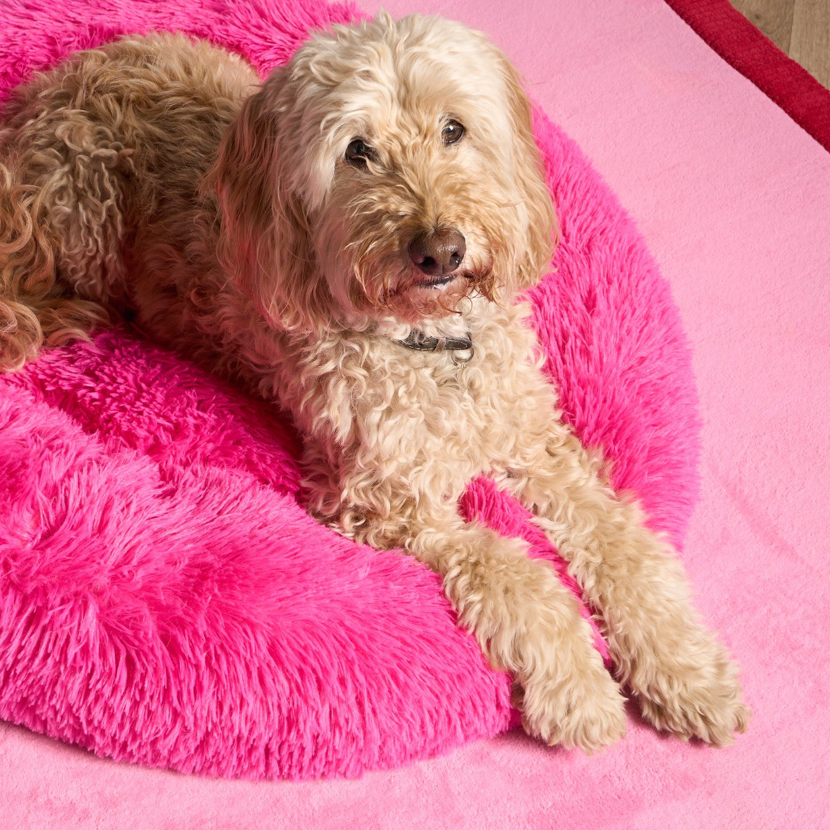 OHS Fluffy Round Calming Pet Bed, Hot Pink - Medium>