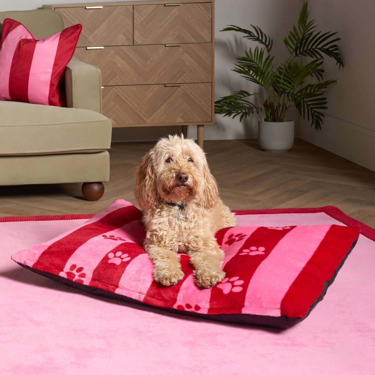 OHS Candy Stripe Paw Print Pet Bed - Pink/Red>