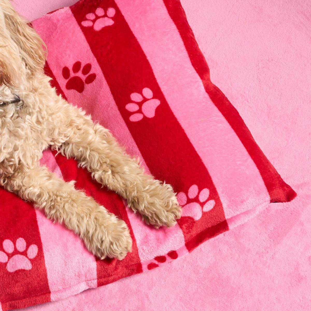 OHS Candy Stripe Paw Print Pet Bed - Pink/Red>