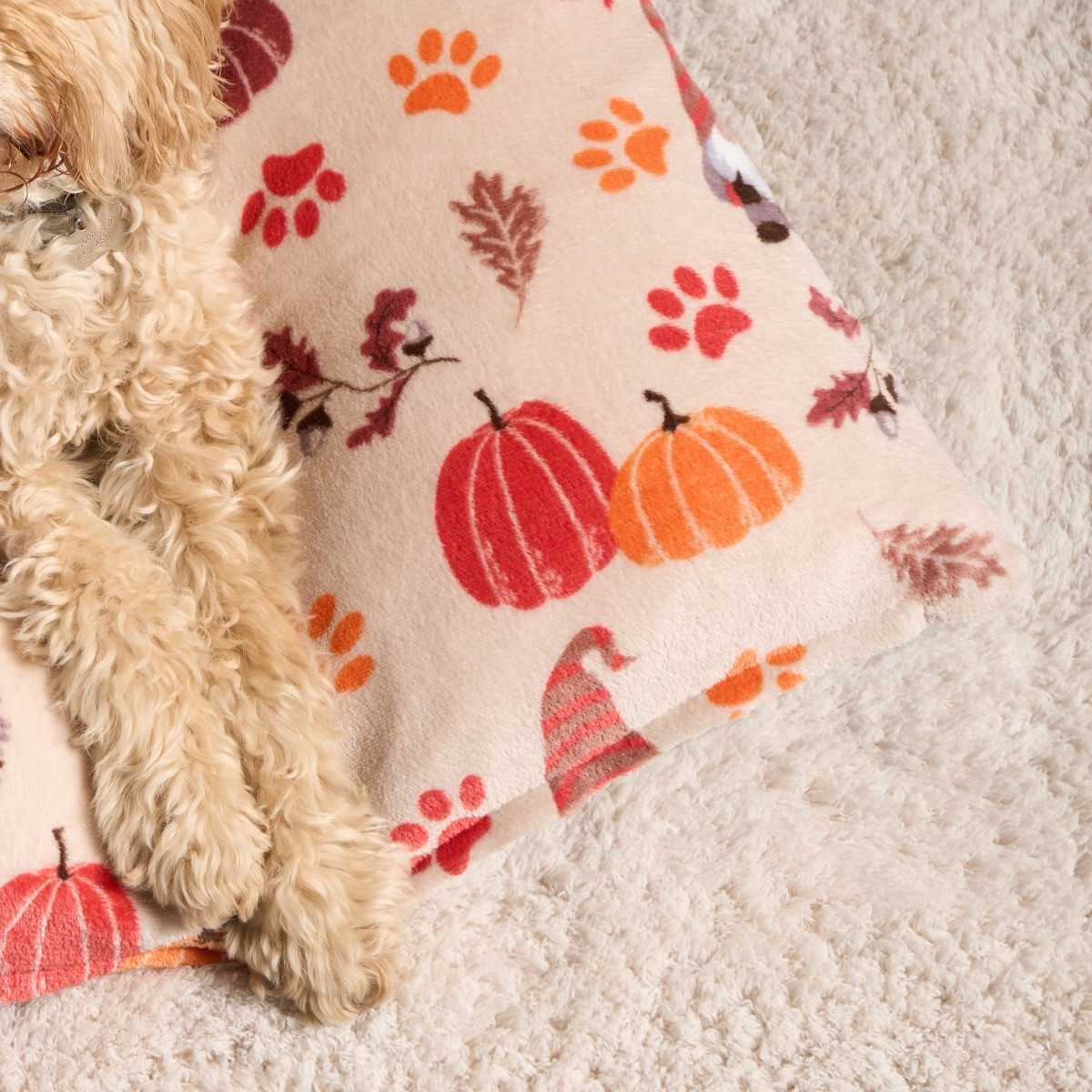 OHS Autumn Paw Print Pet Bed - Natural >