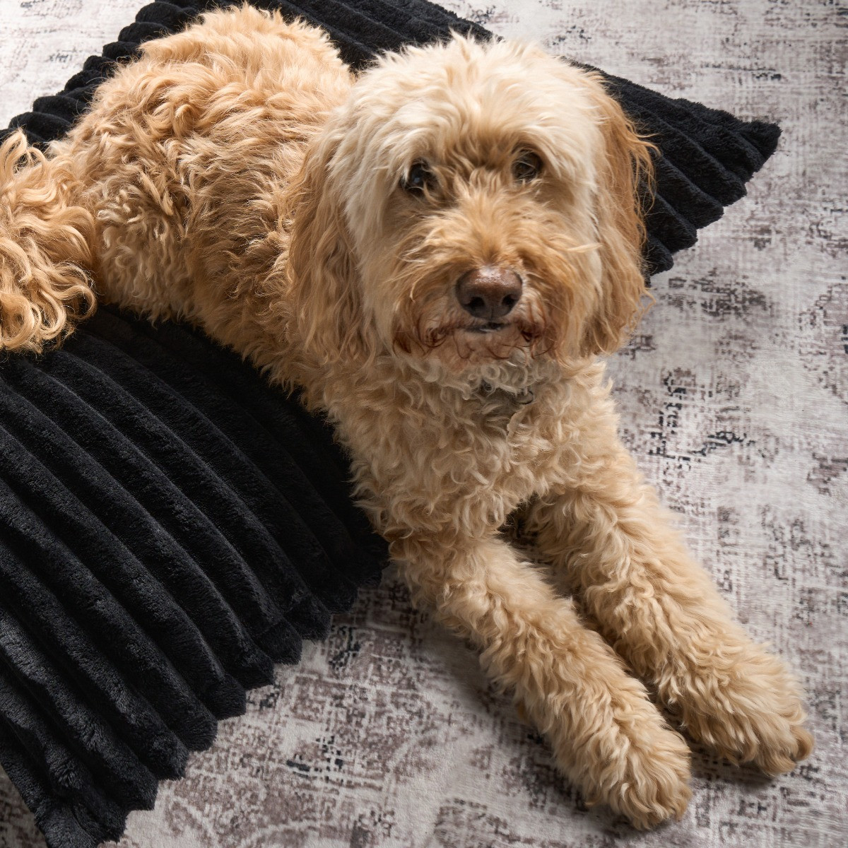 OHS Ribbed Fleece Pet Bed - Black>