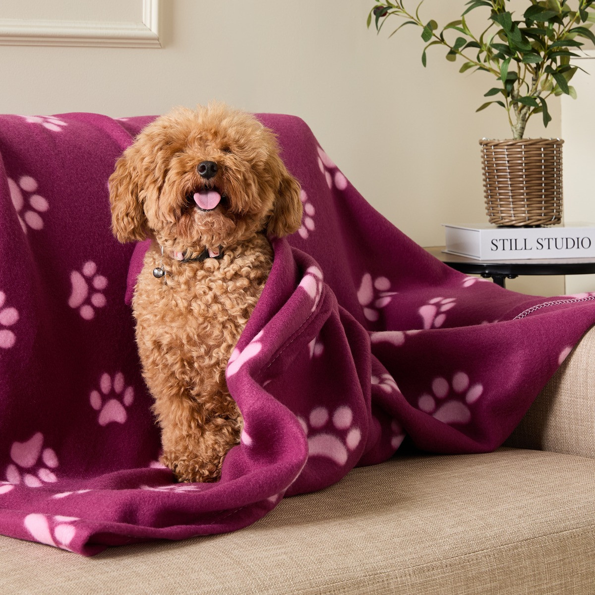 OHS Pet Paw Print Fleece Throw - Burgundy/Pink>